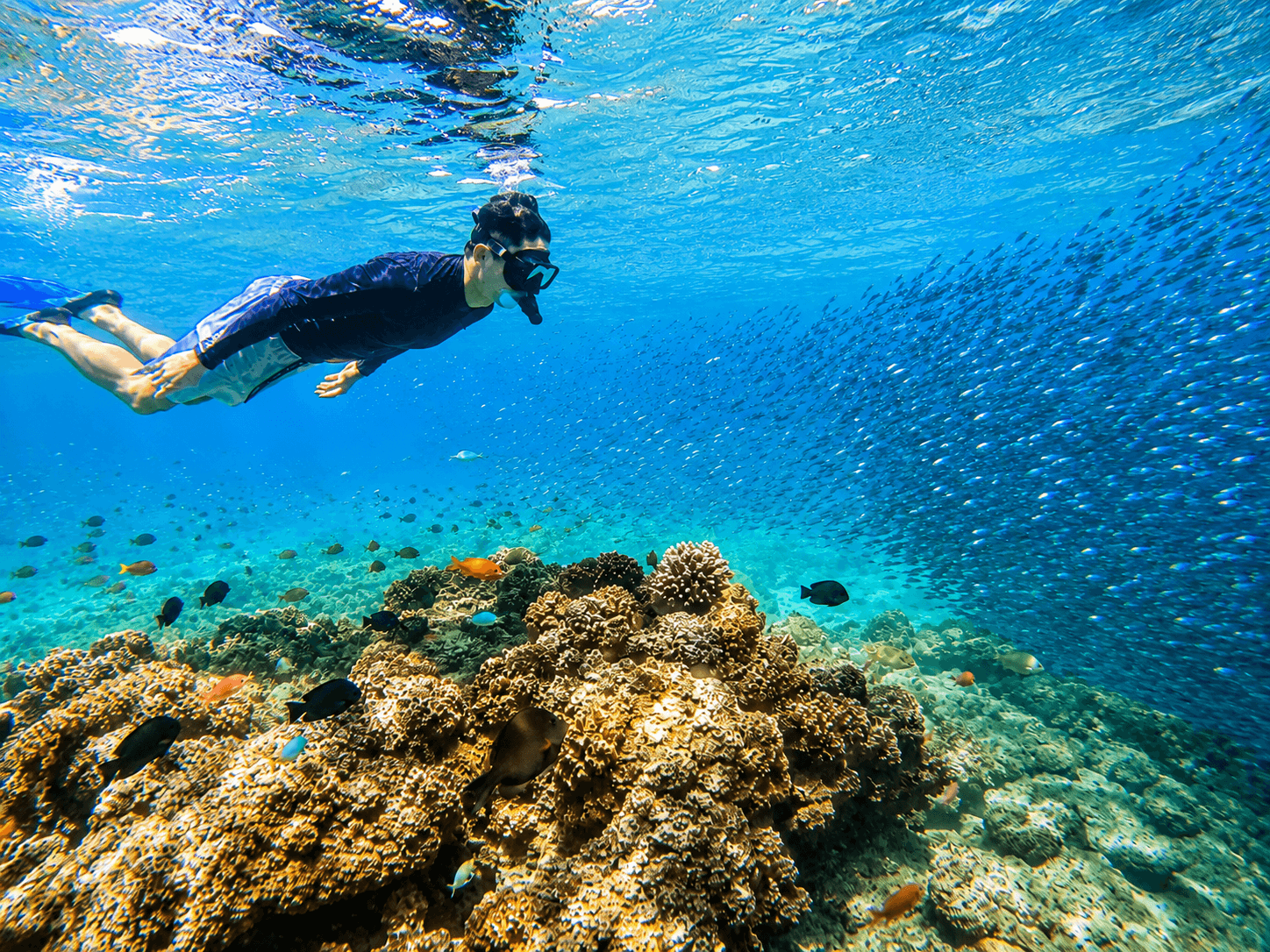House Reef Diving